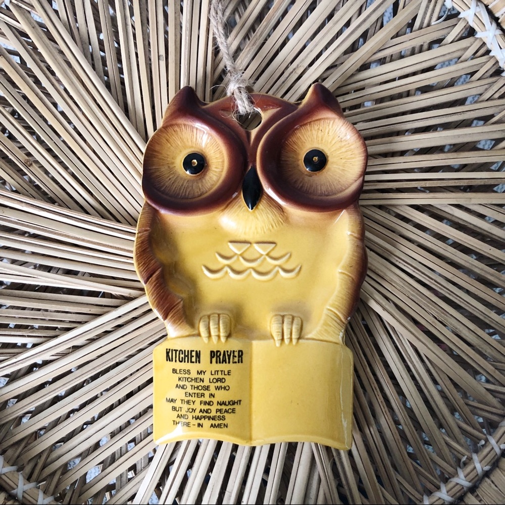 Owl Kitchen Wall Hanging